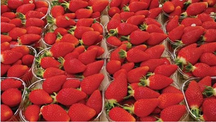 Анжелика (LP 1908)